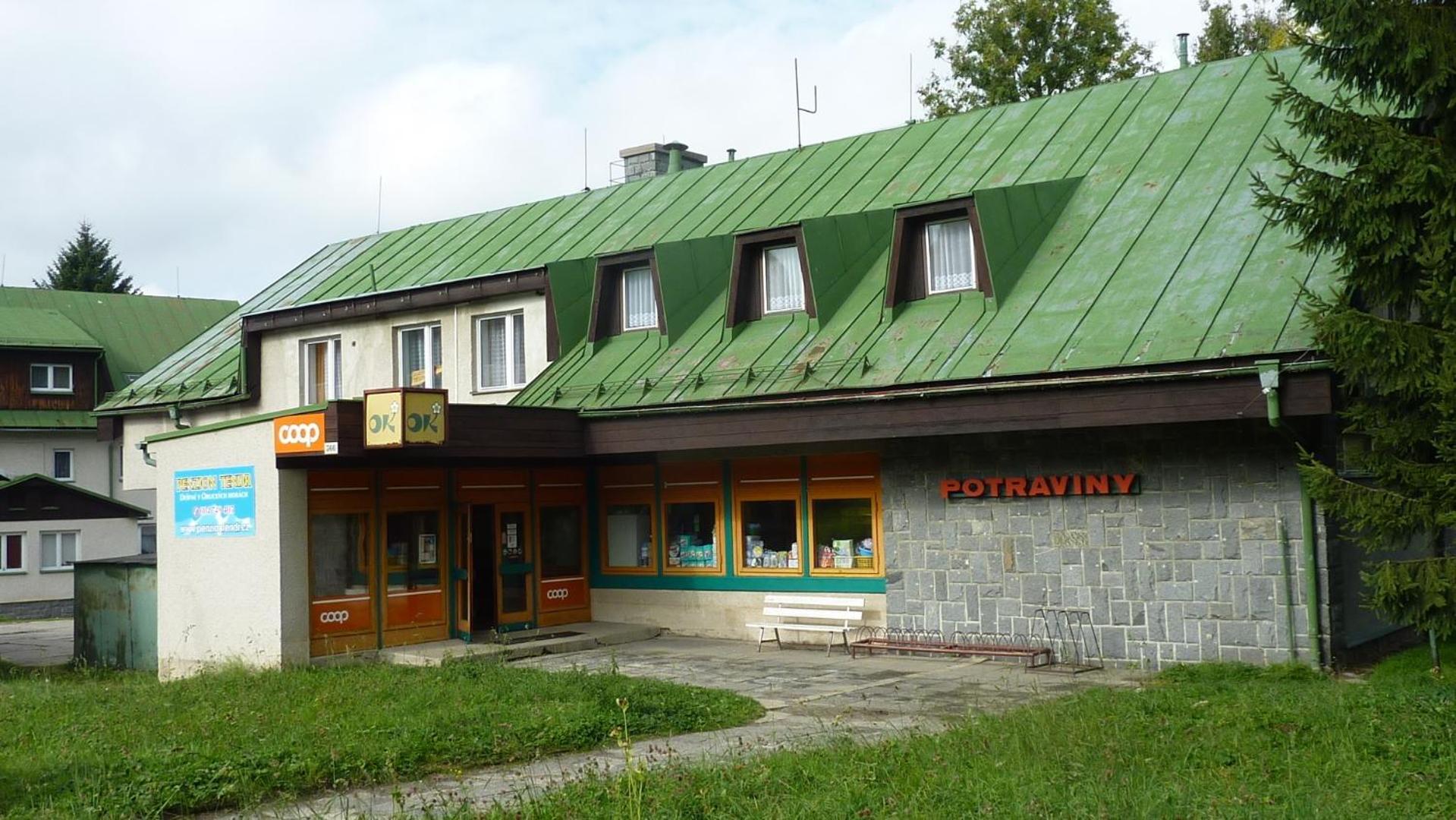 Penzion Tendr Дештне в Орлицких горах Экстерьер фото